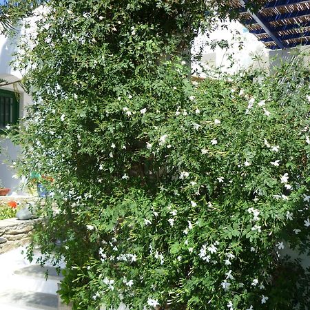 Porto Vlastos Agios Ioannis  Eksteriør billede