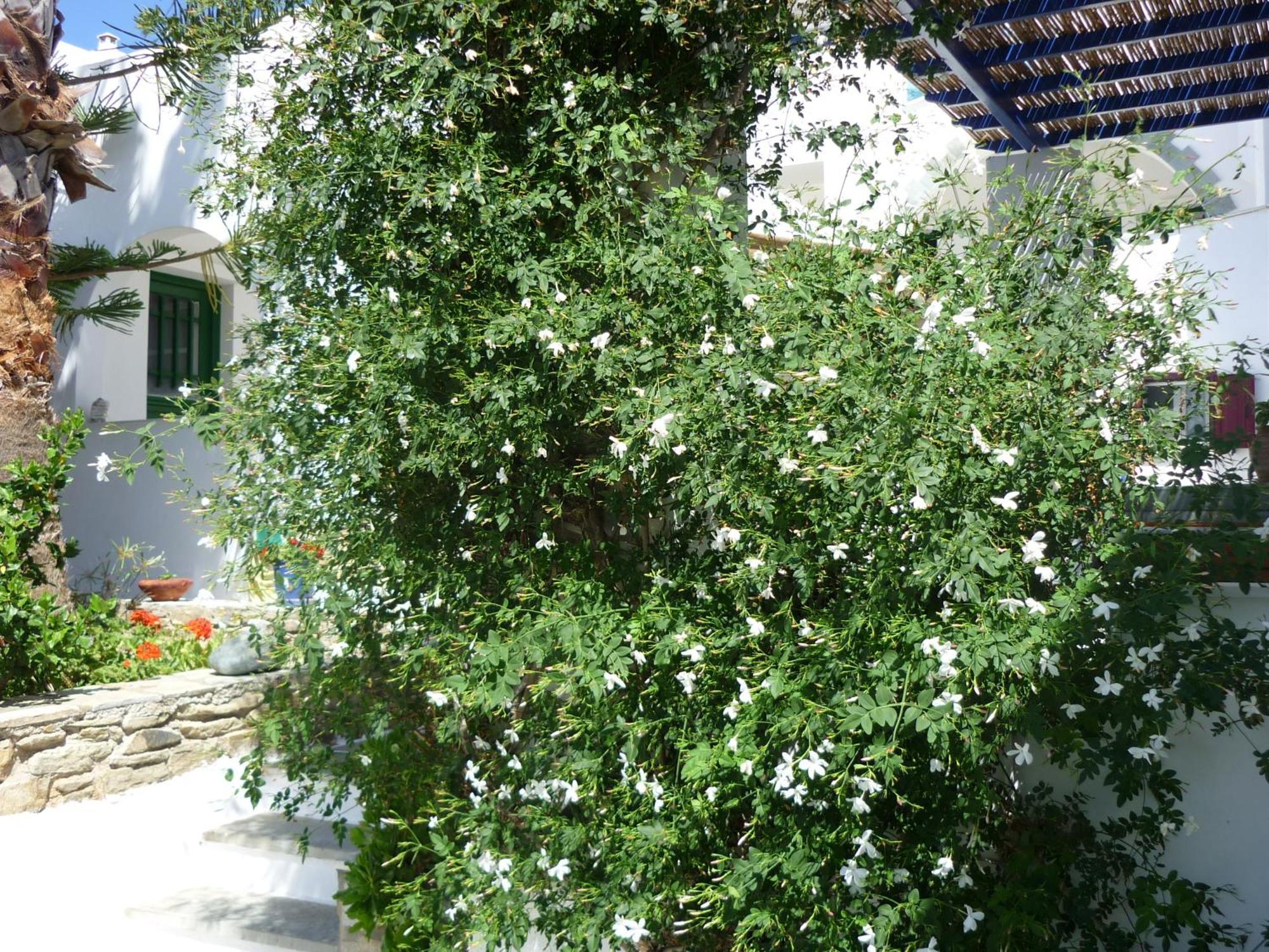 Porto Vlastos Agios Ioannis  Eksteriør billede